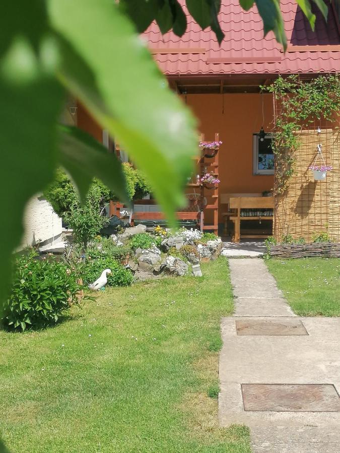 Studio Apartman Krosna Perusic Dış mekan fotoğraf